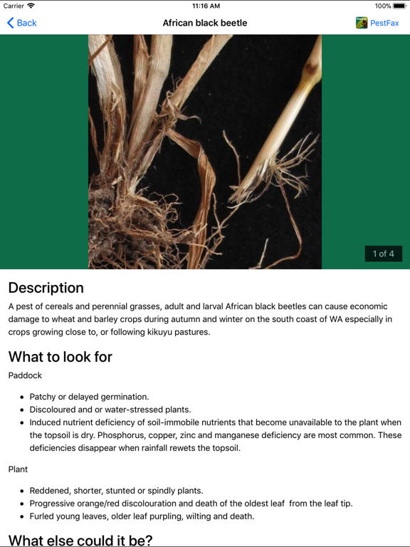 Screenshot #6 pour MyCrop Oats