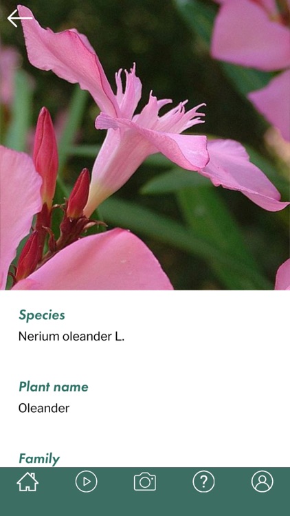 Percurso Eco-Botânico MGG