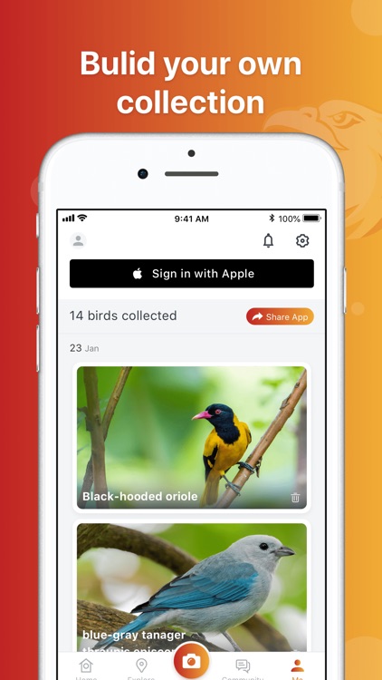 Picture Bird: Birds Identifier screenshot-3