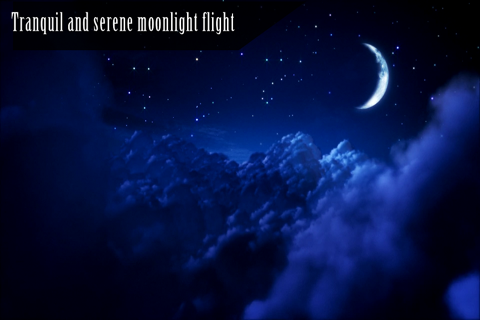 Dream Flight HD screenshot 3
