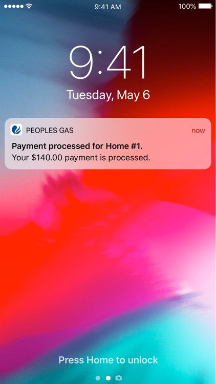 Peoples Gas Chicago screenshot-6