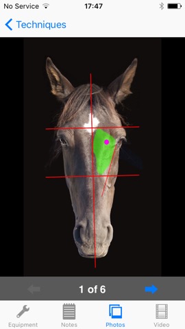 BEVA Equine Techniquesのおすすめ画像1