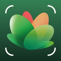 NatureID: Plant Identification