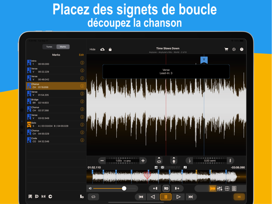 Screenshot #6 pour Anytune Pro