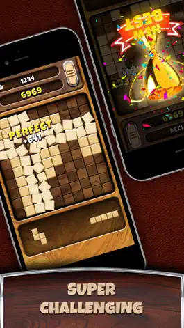 Game screenshot Woody Puzzle Luxury+ apk