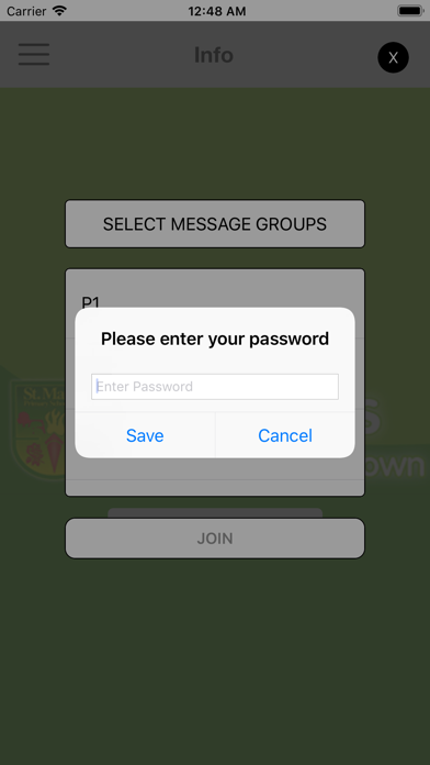 St Mary's PS Banbridge Screenshot