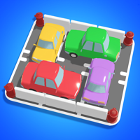 Crazy Parking Inc 3D