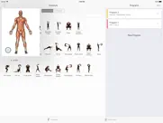 stark bag ipad capturas de pantalla 3