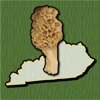 Kentucky Mushroom Forager Map!