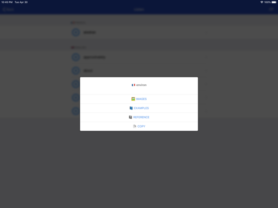 French Dictionary - offline iPad screenshot 4 - Reference app