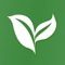 该应用是一款线上购买绿色植物的应用。