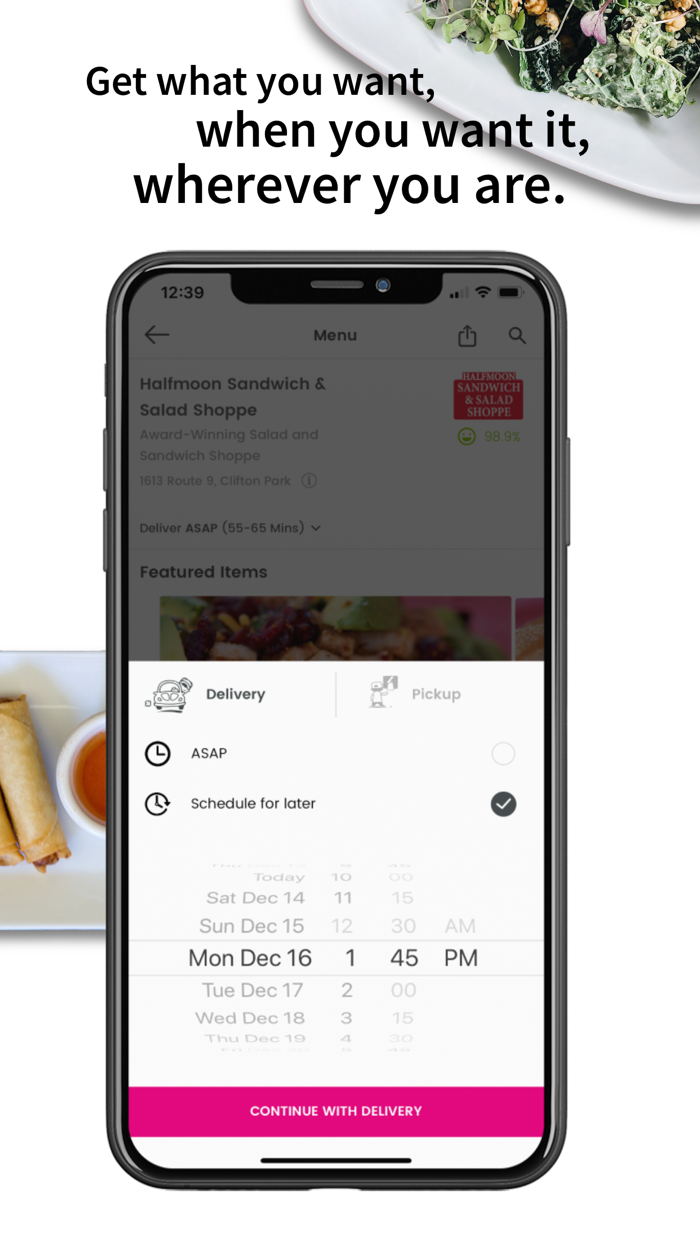 Mealeo Food Delivery Service