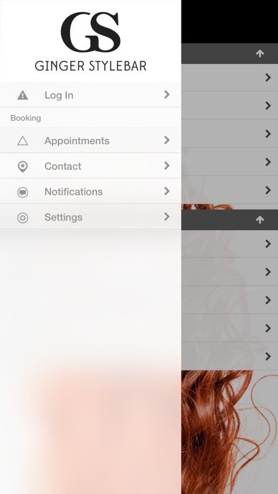 Ginger Stylebar screenshot 2