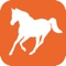 ANFOAL App, is a convenient app