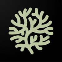 Lishash: Friends meet music