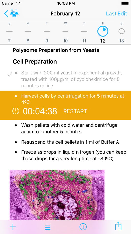 #3. Findings - Lab Notebook (iOS) 由: Nucleobytes BV