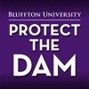 Protect the Dam icon