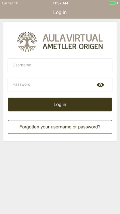 Aula Virtual Ametller Origen