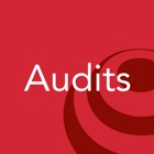 Top 11 Productivity Apps Like AssessNET Audits - Best Alternatives