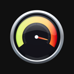 GPS Speedometer Mile Tracker