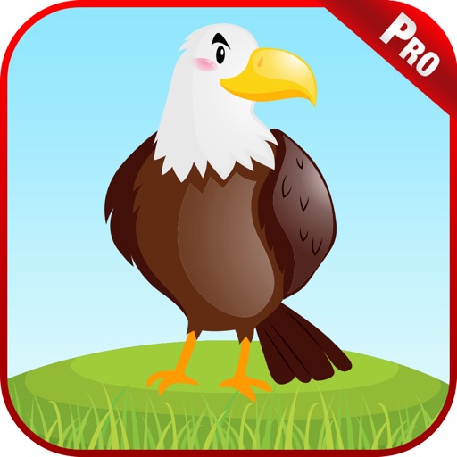 Birds Animal Sounds Kids Games iOS App