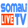 Live Somali TV - BCS Consulting Group LLC