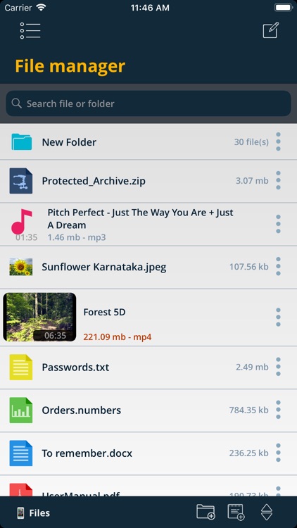 Browser Documents & Cloud Pro