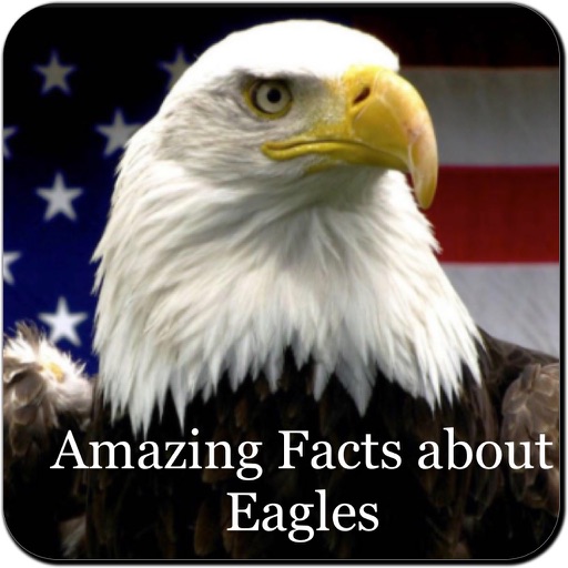 Amazing Eagles Facts 1800 icon