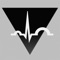 Icon VitalSign Holter