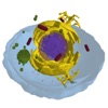 The Cell icon
