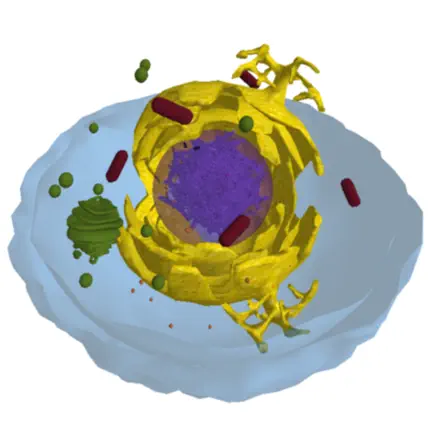 The Cell Читы