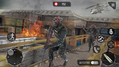 Real Commando Fire Ops Mission screenshot 3