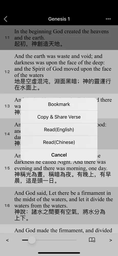 Bible(ASV) - Lite