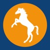 Cavallino icon