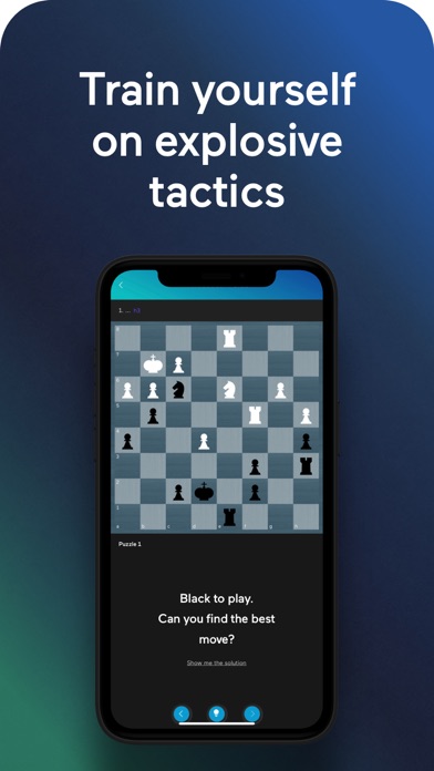 Kasparovchess Screenshot