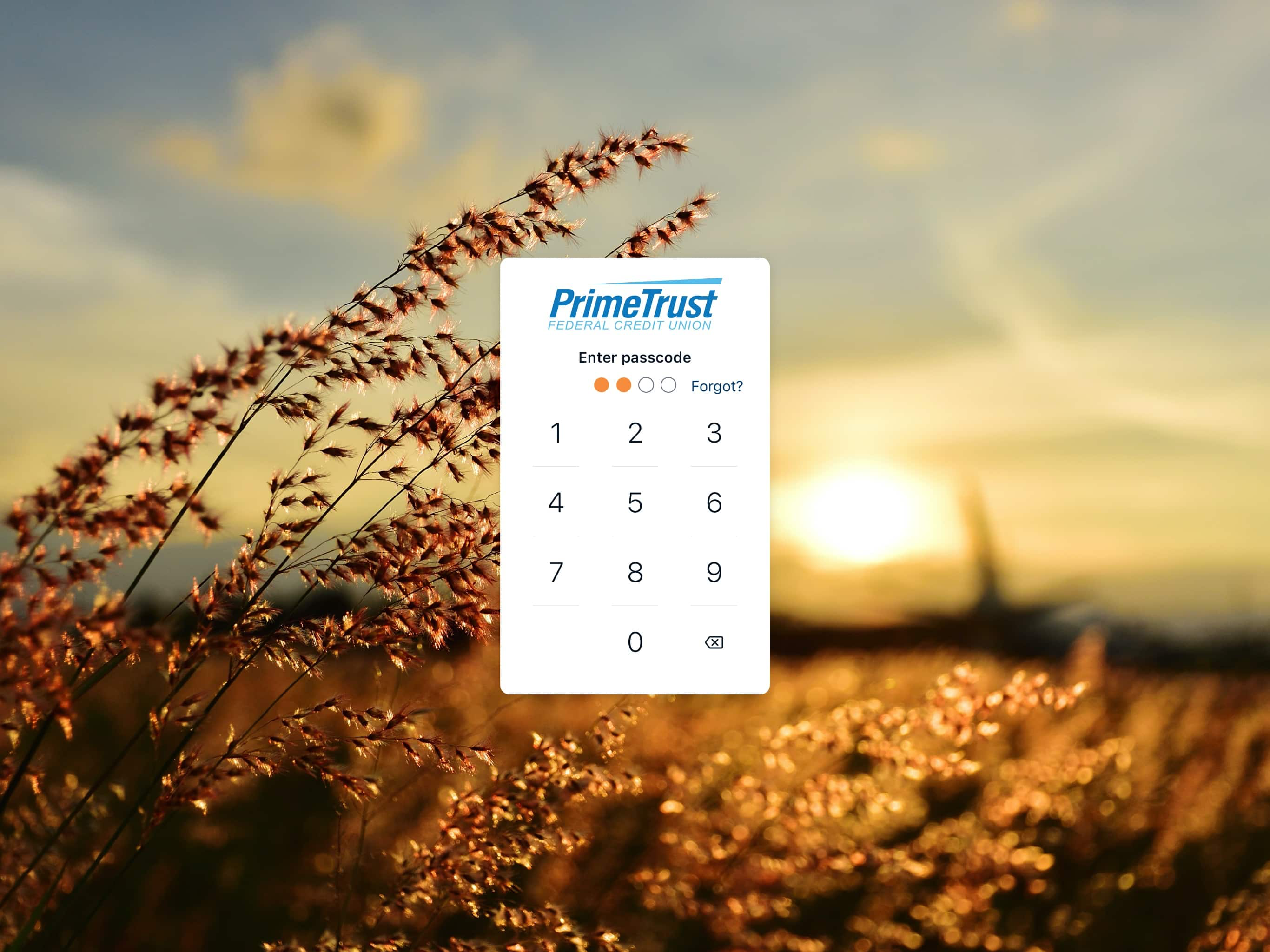 PrimeTrust FCU Mobile screenshot 6