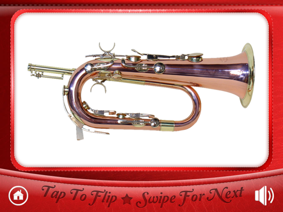 Screenshot #5 pour FlashCards-Musical Instruments