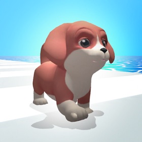 螢幕擷取畫面 (3) Puppy Run 3D!