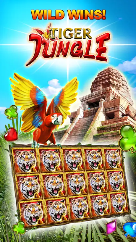 Magic Bonus Casino