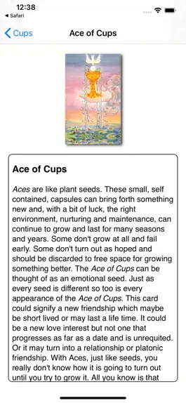 Game screenshot Tarot & Numerology hack