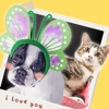 My awesome Pet Shots - iPhoneアプリ