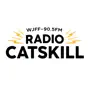 WJFF Radio Catskill