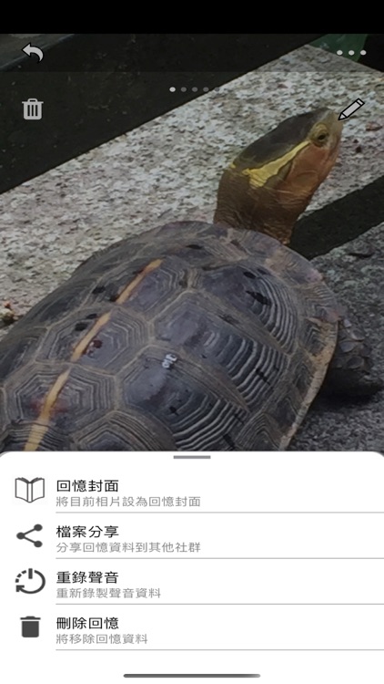 Sound Photo screenshot-3