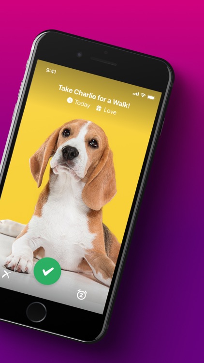 Looksee Solo Visual To Do List