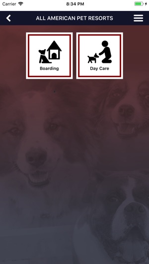 All American Pet Resort(圖6)-速報App