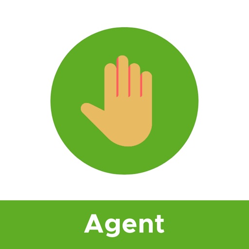 PalmMarketPlace Agent