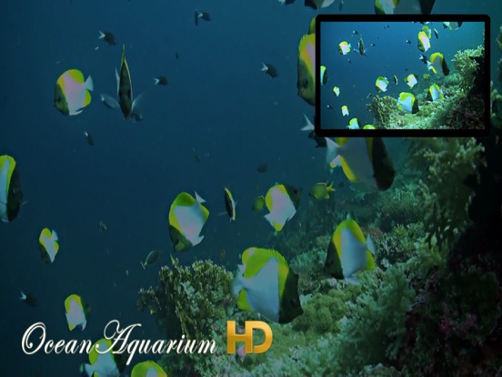 Screenshot #4 pour Ocean Aquarium HD