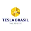 Consórcio Tesla App Delete