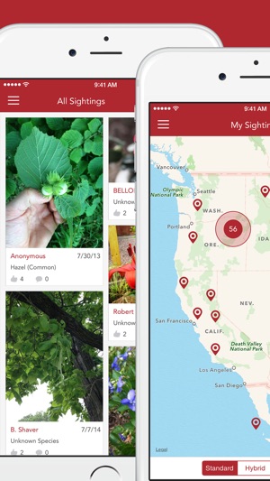 Wild Berries and Herbs 2 PRO(圖5)-速報App