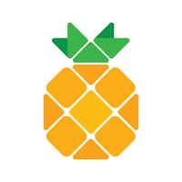 Pineapple - Website Builder pour PC